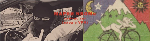 стафф Вяземский