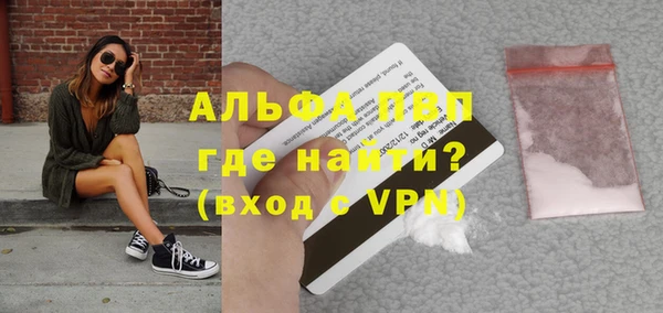 стафф Вяземский