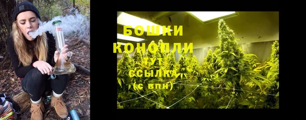 a pvp Тавда