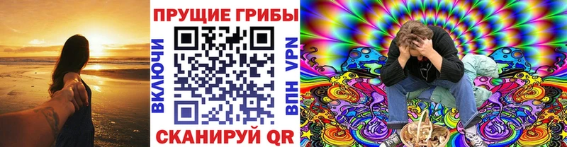 Псилоцибиновые грибы Psilocybe  OMG ССЫЛКА  Балаково 
